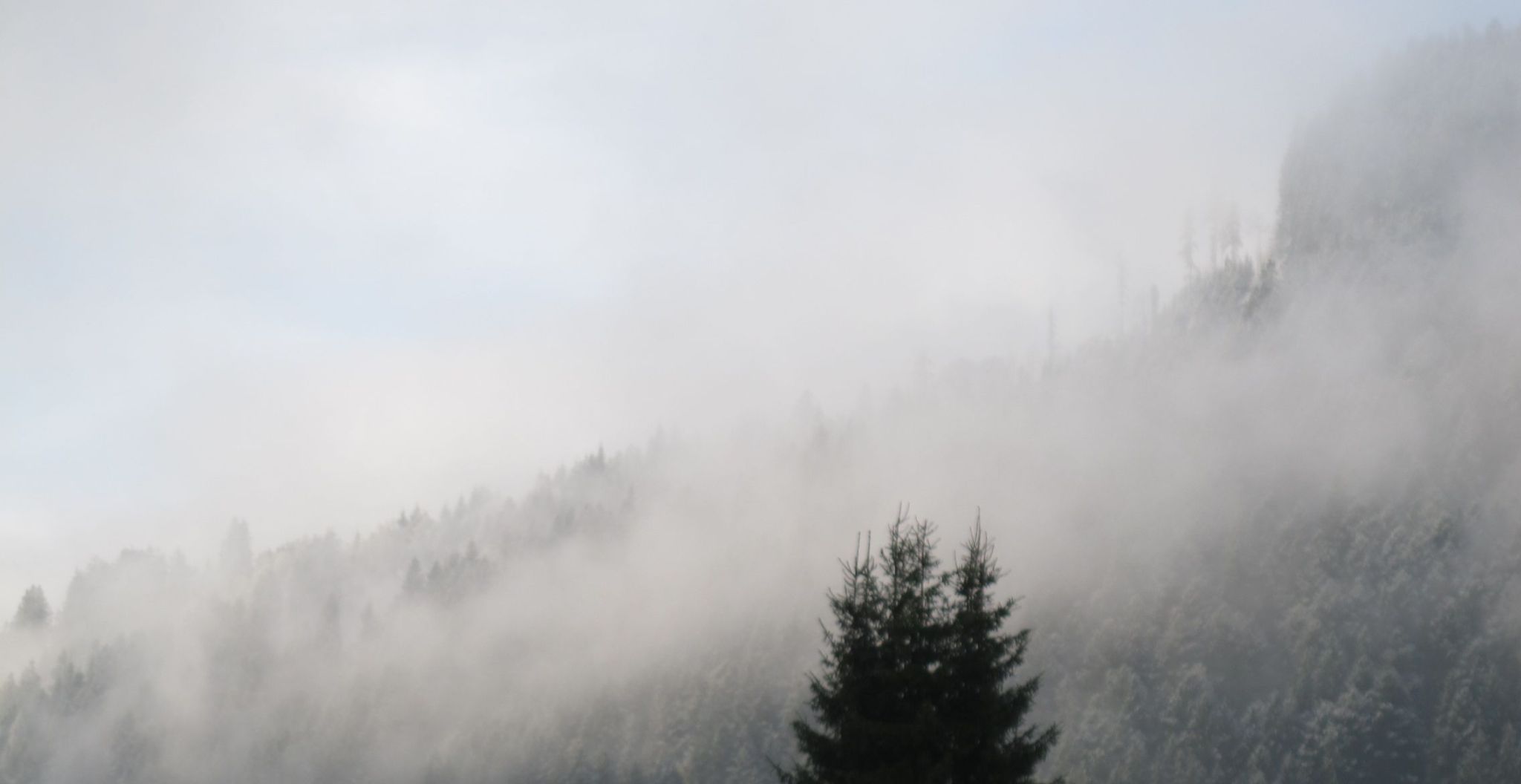 Ja, das helle Zeugs auf den Baumwipfeln ist frischer Schnee