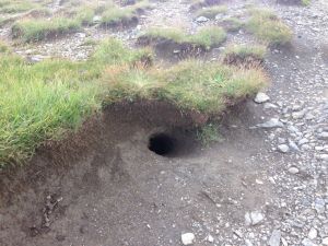 für die einen ein Erdloch, für die anderen eine Eigentumswohnung