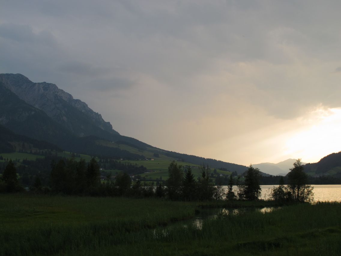 Blick von der Forelle auf ihre Herkunft