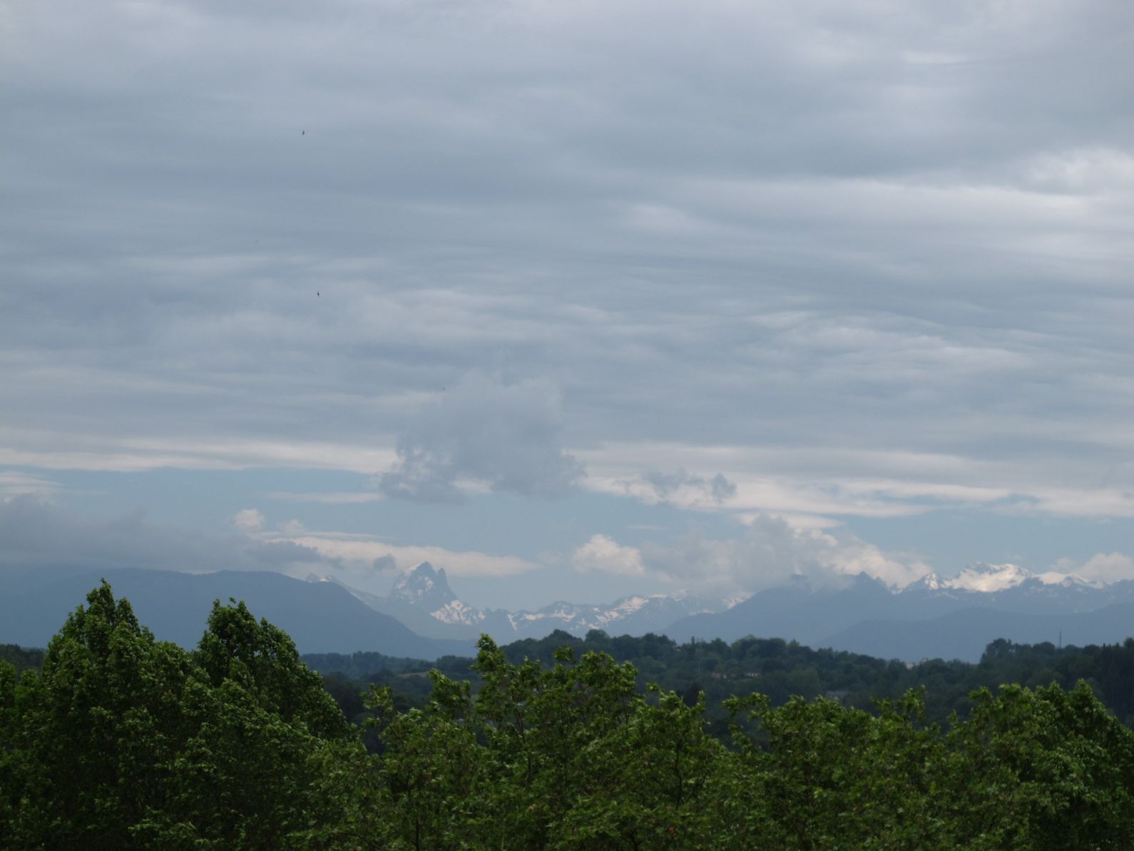 5_PromenadePyrenees2