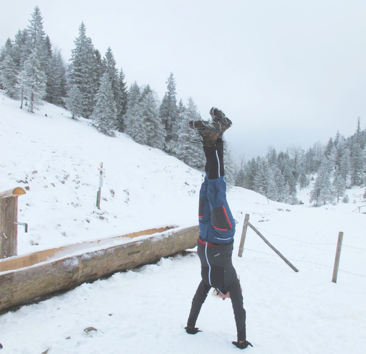 Hiking the Alps; Handstand; hikingthealps