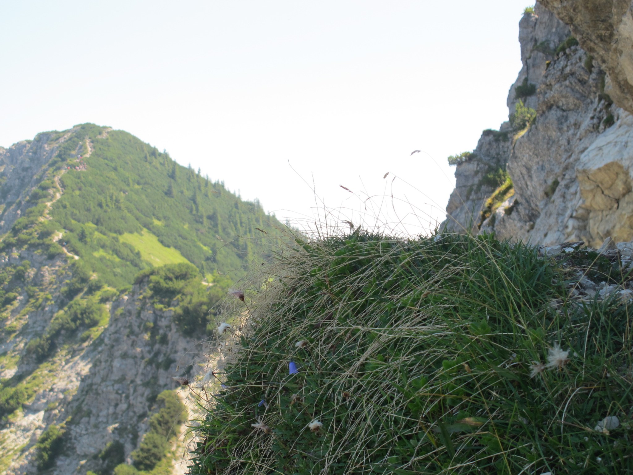 #hikingthealps Hiking the Alps